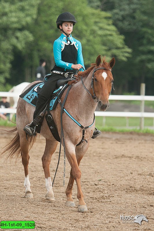 4H-1st-09_1528.jpg
