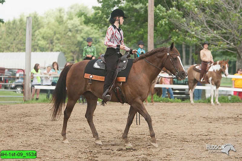 4H-1st-09_1534.jpg