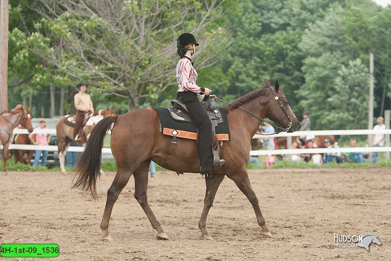 4H-1st-09_1536.jpg