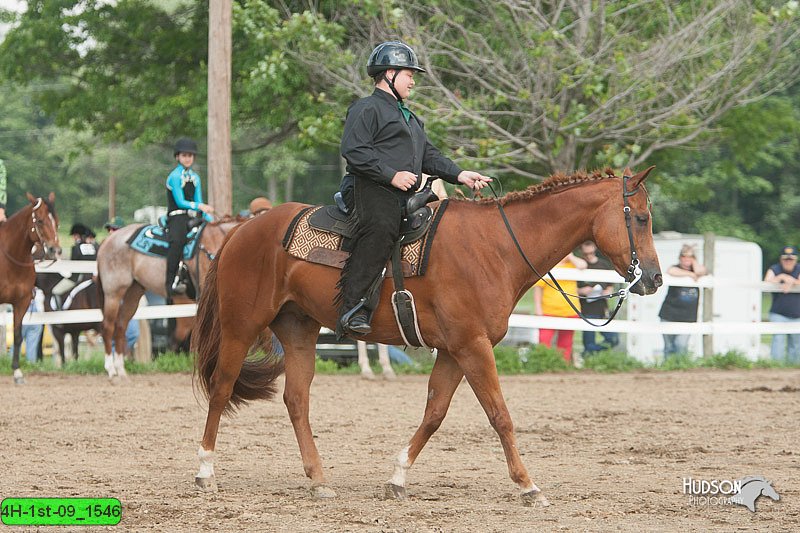 4H-1st-09_1546.jpg