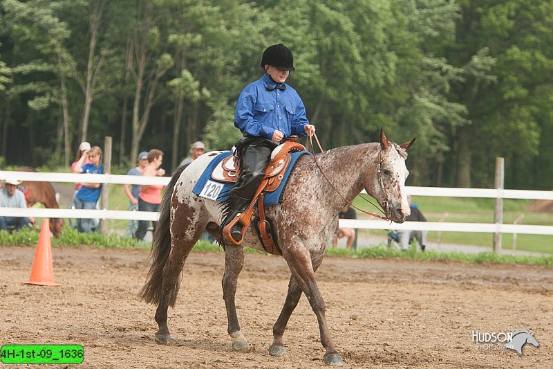 4H-1st-09_1636.jpg