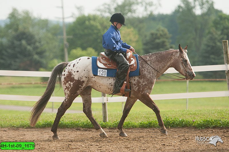 4H-1st-09_1679.jpg