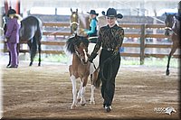 4H-1st-09_0414.jpg