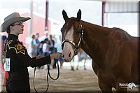 4H-1st-09_0429.jpg