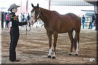 4H-1st-09_0430.jpg