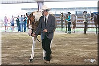 4H-1st-09_0435.jpg