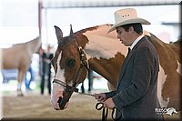 4H-1st-09_0436.jpg