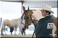 4H-1st-09_0437.jpg