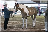 4H-1st-09_0439.jpg