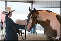 4H-1st-09_0440.jpg
