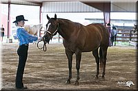 4H-1st-09_0445.jpg