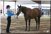 4H-1st-09_0446.jpg