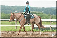 4H-1st-09_0816.jpg