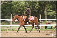 4H-1st-09_1421.jpg