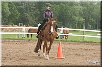 4H-1st-09_1648.jpg