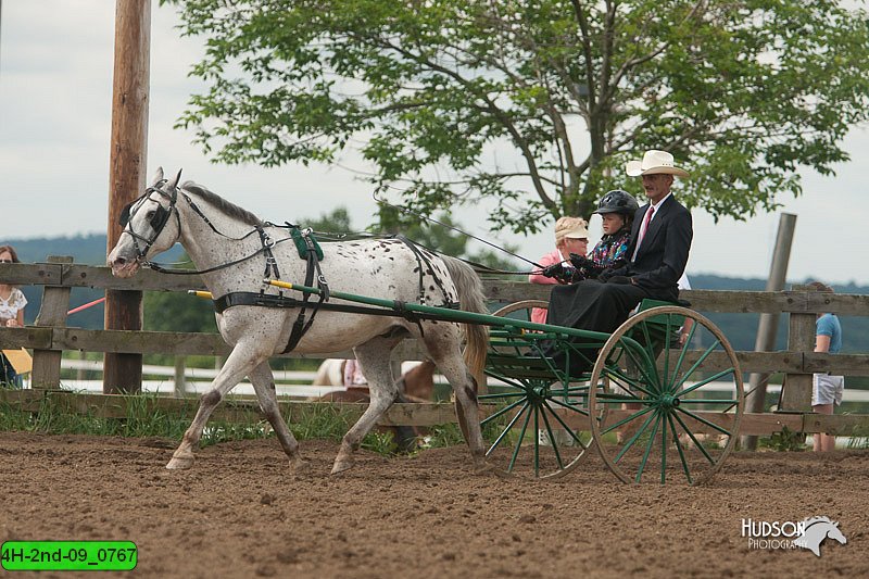 4H-2nd-09_0767.jpg