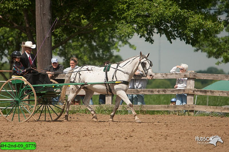 4H-2nd-09_0775.jpg