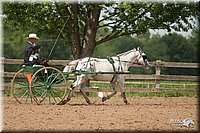 4H-2nd-09_0773.jpg