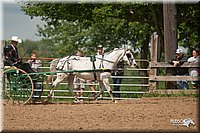 4H-2nd-09_0774.jpg