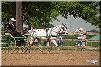 4H-2nd-09_0775.jpg