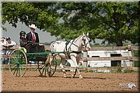 4H-2nd-09_0776.jpg