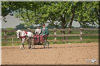 4H-2nd-09_0780.jpg