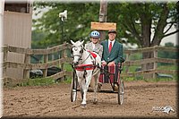 4H-2nd-09_0784.jpg