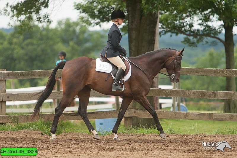 4H-2nd-09_0828.jpg
