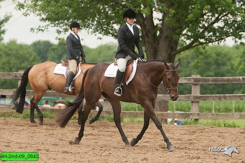 4H-2nd-09_0842.jpg
