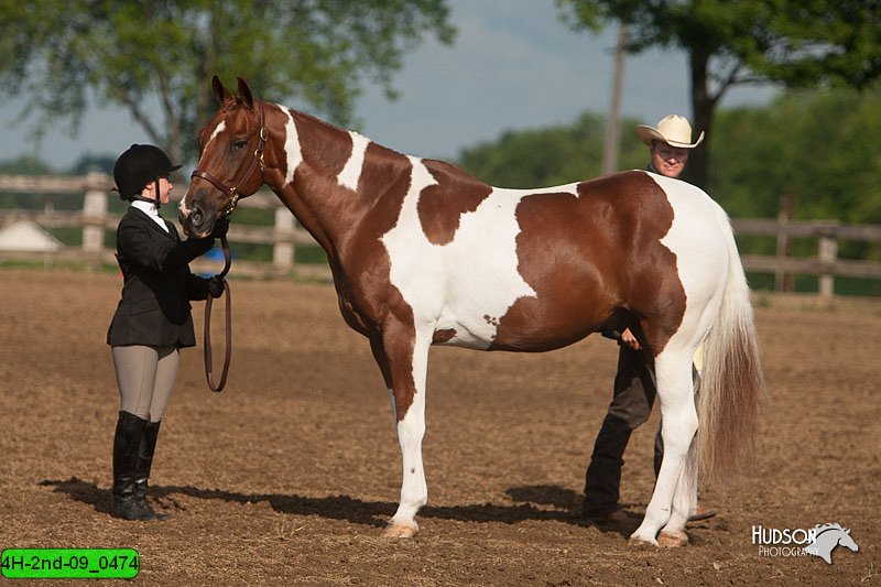 4H-2nd-09_0474.jpg