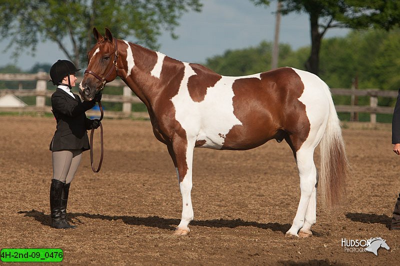 4H-2nd-09_0476.jpg