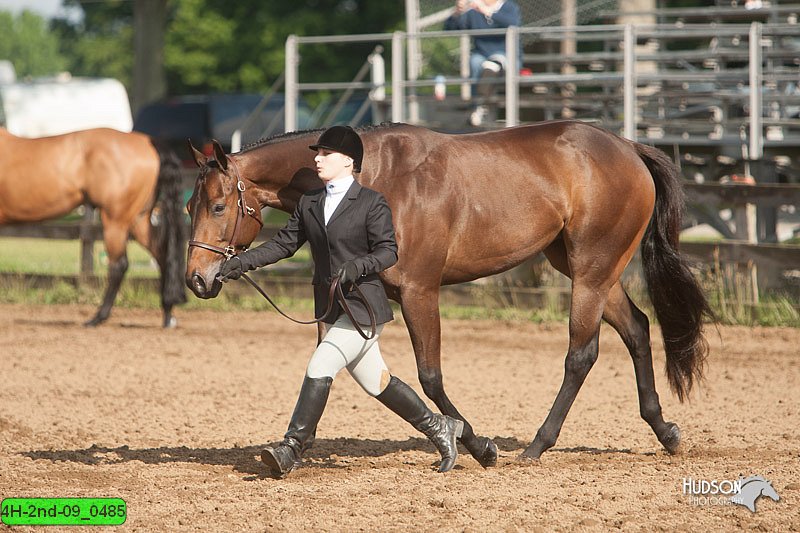 4H-2nd-09_0485.jpg