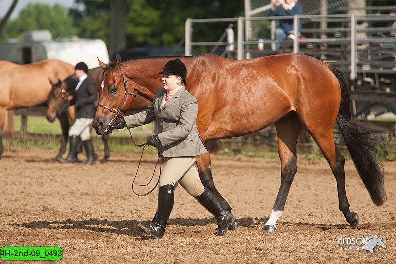 4H-2nd-09_0493.jpg