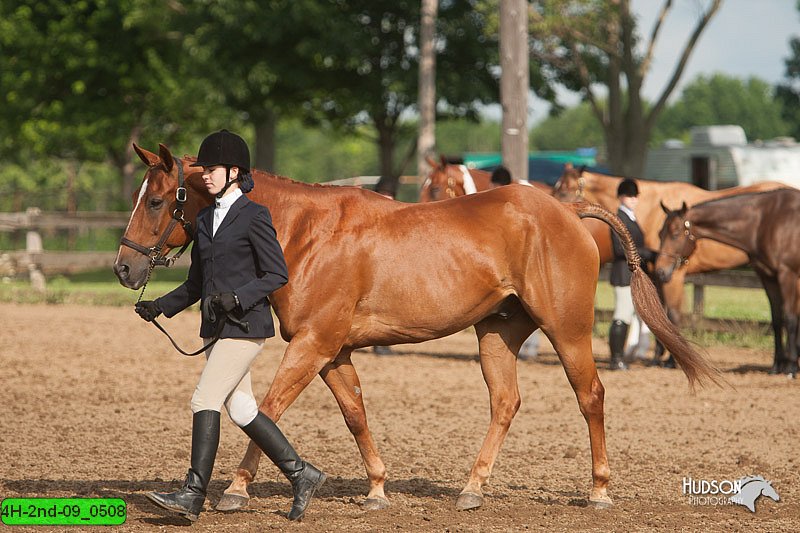 4H-2nd-09_0508.jpg