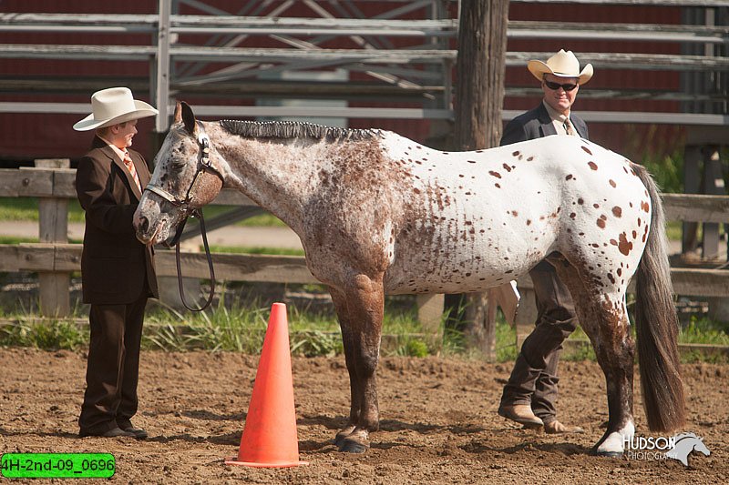 4H-2nd-09_0696.jpg