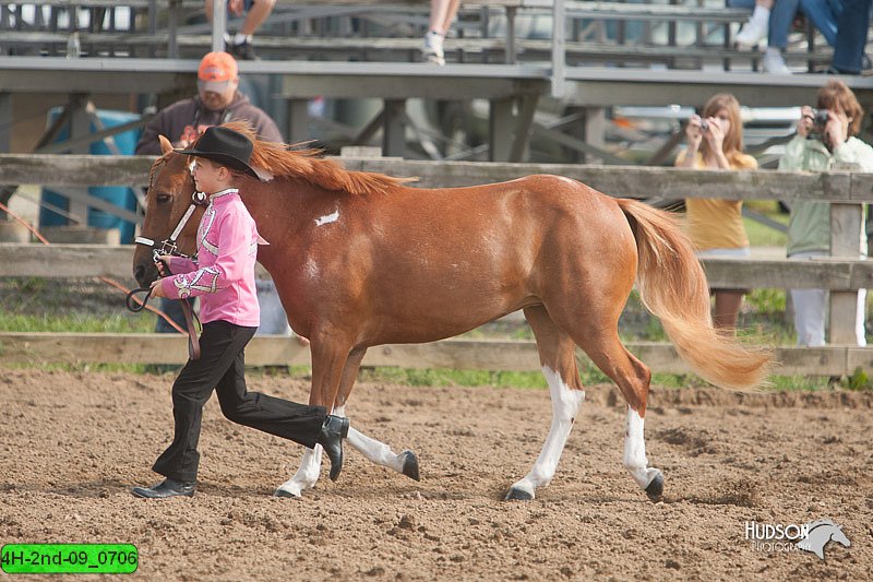4H-2nd-09_0706.jpg
