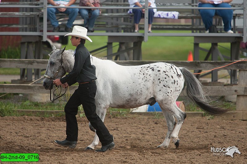 4H-2nd-09_0716.jpg