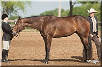 4H-2nd-09_0490.jpg