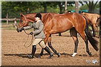 4H-2nd-09_0495.jpg