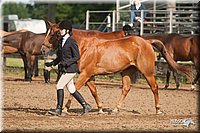 4H-2nd-09_0506.jpg