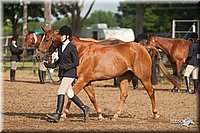4H-2nd-09_0507.jpg