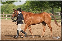 4H-2nd-09_0509.jpg