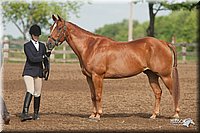 4H-2nd-09_0511.jpg