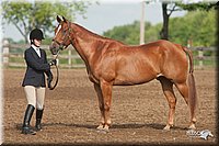 4H-2nd-09_0512.jpg