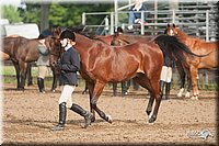 4H-2nd-09_0513.jpg