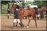 4H-2nd-09_0514.jpg