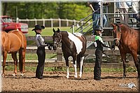 4H-2nd-09_0698.jpg