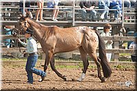 4H-2nd-09_0699.jpg