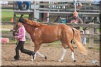 4H-2nd-09_0707.jpg