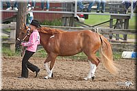 4H-2nd-09_0708.jpg
